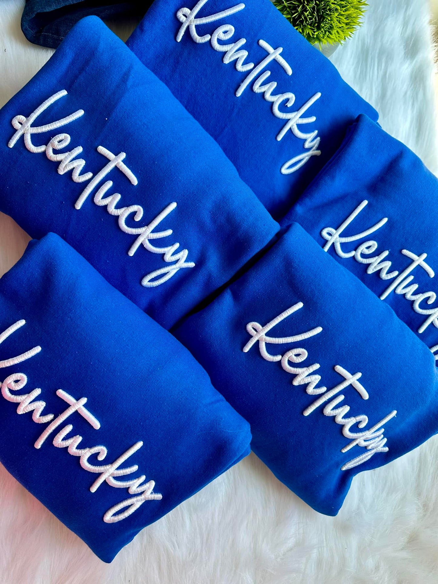 Kentucky 3D Embroidered